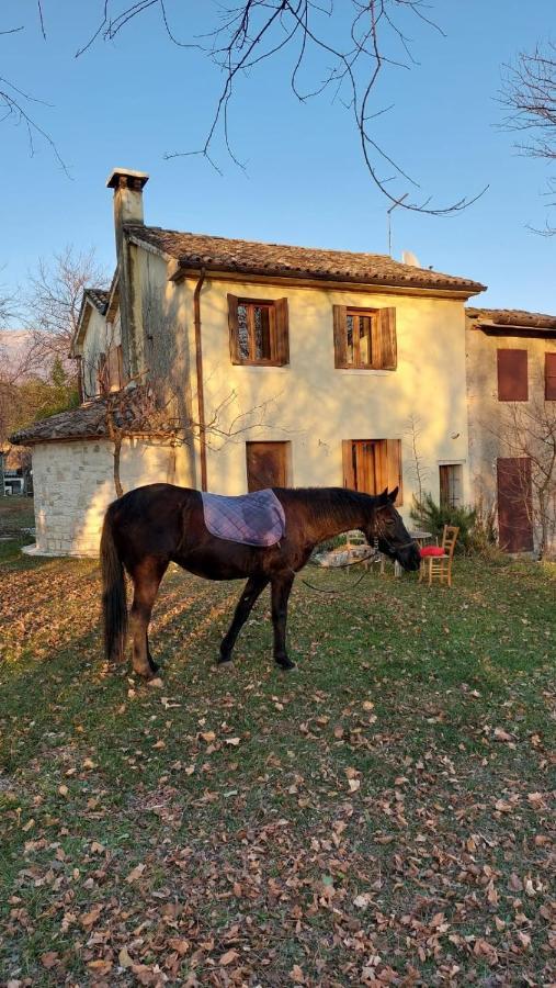 La Caneveta Al Piave Villa Valdobbiadene Bagian luar foto