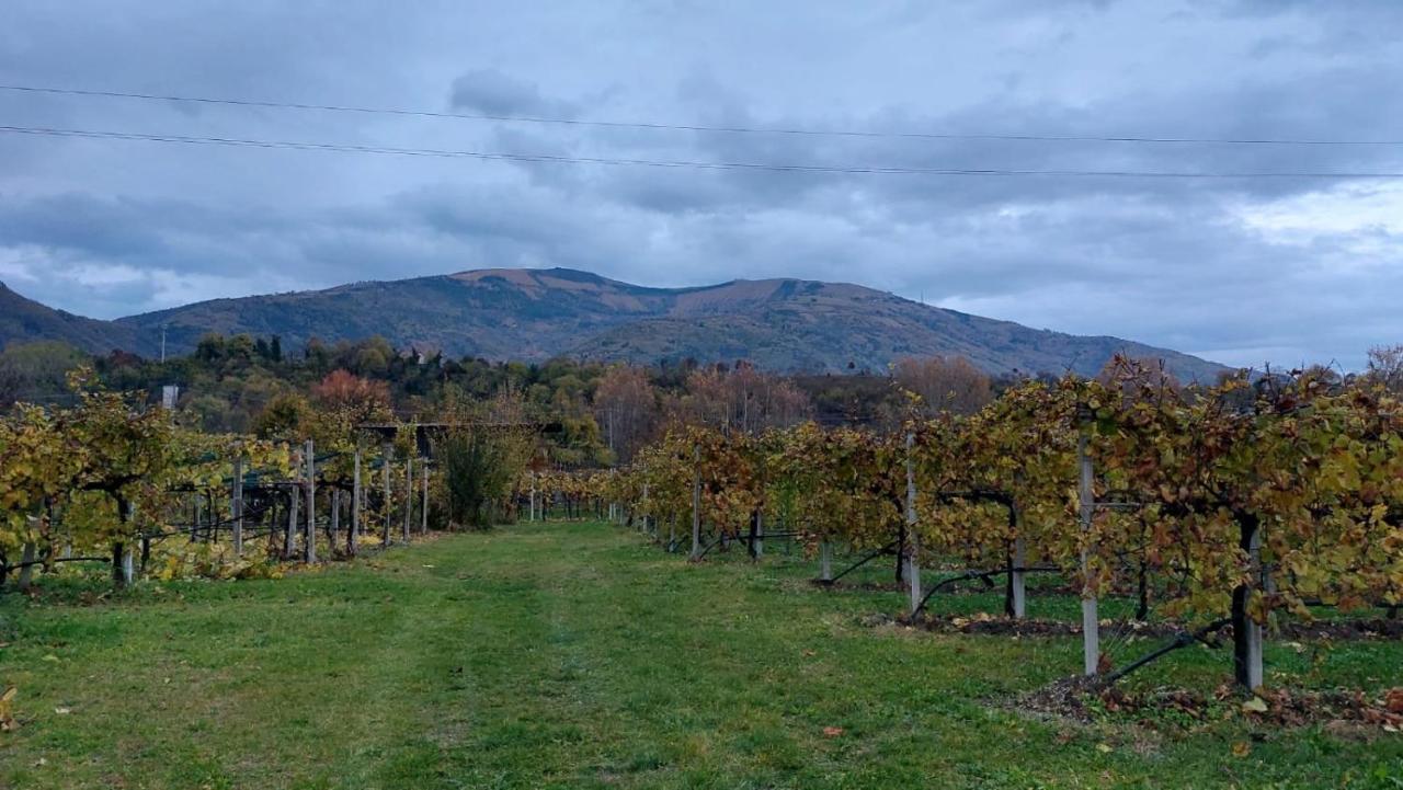 La Caneveta Al Piave Villa Valdobbiadene Bagian luar foto