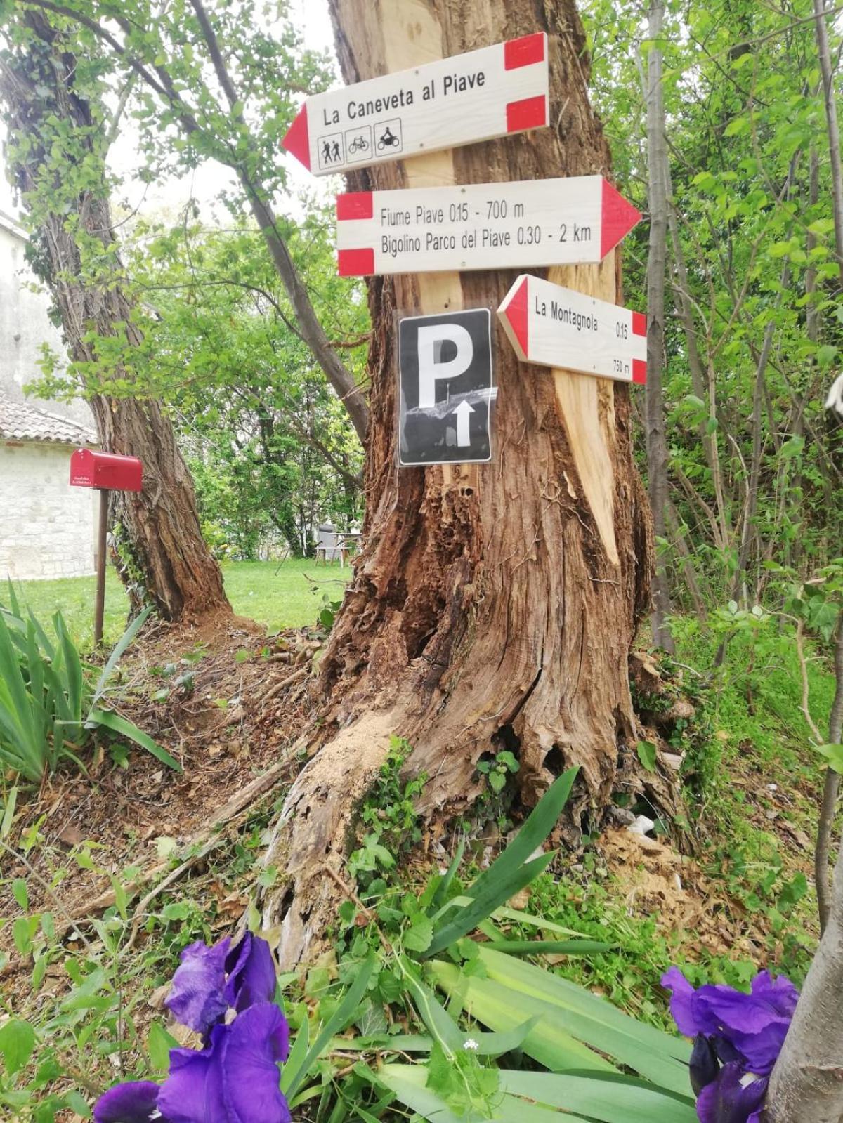 La Caneveta Al Piave Villa Valdobbiadene Bagian luar foto